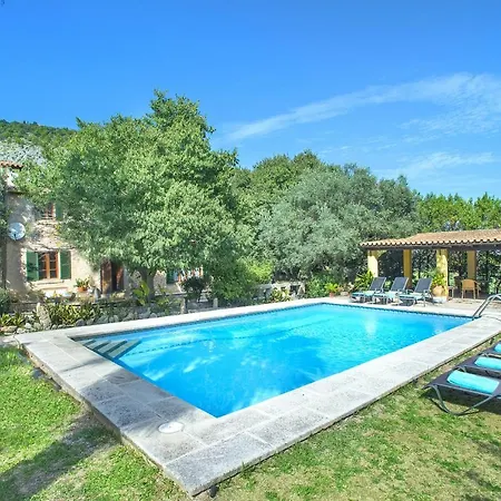 Owl Brullet - Rustic * Pollença