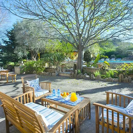 Owl Brullet - Rustic * Pollença