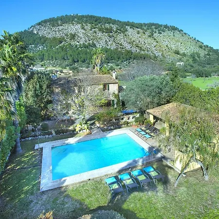 Owl Brullet - Rustic *