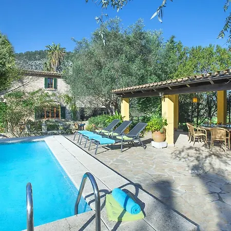 Owl Brullet - Rustic