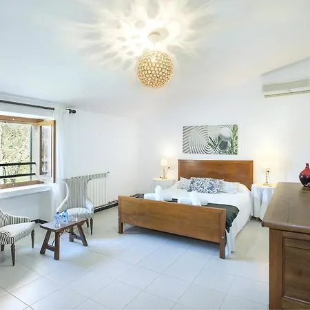 Owl Brullet - Rustic Willa