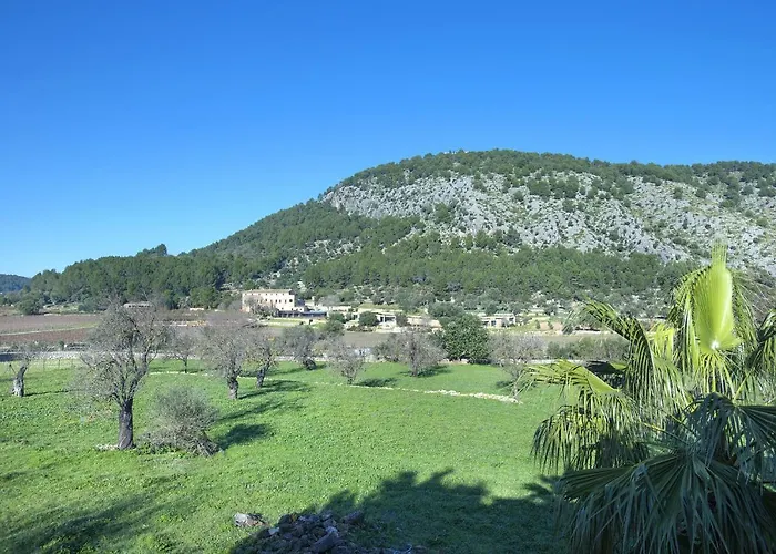 Owl Brullet - Rustic *