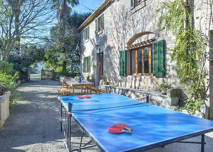 Owl Brullet - Rustic * Pollensa