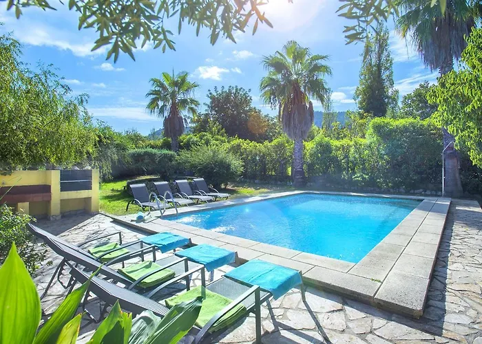 Willa Owl Brullet - Rustic