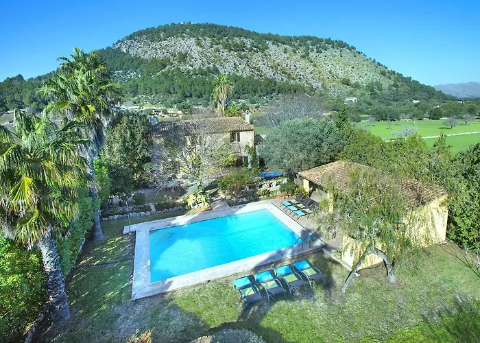 Owl Brullet - Rustic *