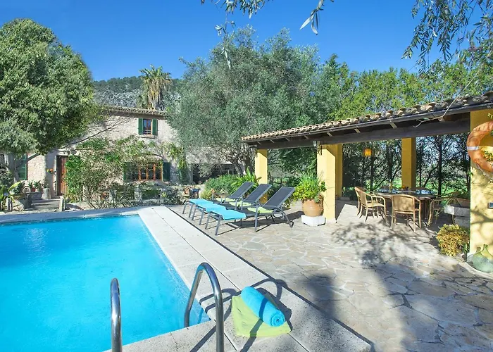 Owl Brullet - Rustic