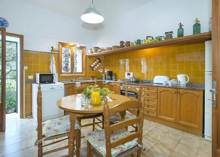 Owl Brullet - Rustic *