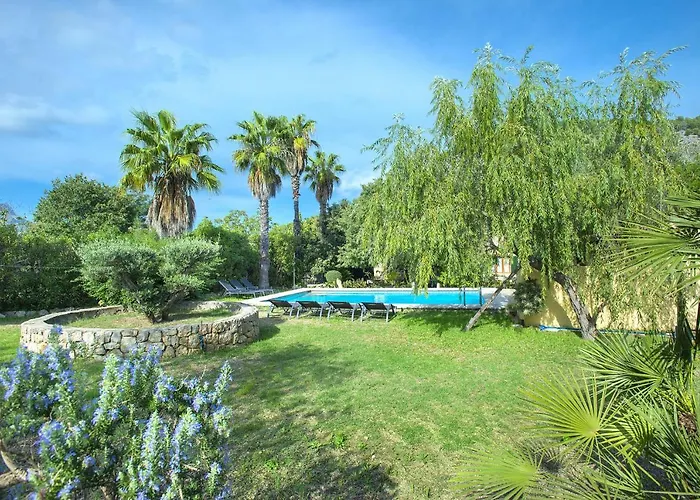 Owl Brullet - Rustic * Pollensa