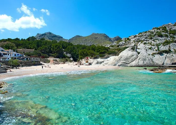 Owl Brullet - Rustic * Pollensa