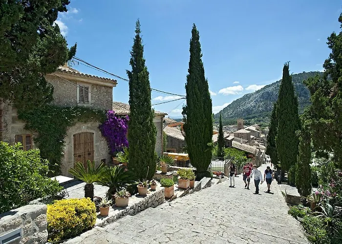 Willa Owl Brullet - Rustic *