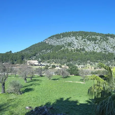 Owl Brullet - Rustic *