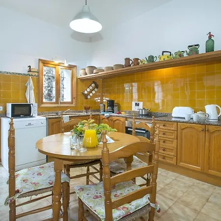 Owl Brullet - Rustic *