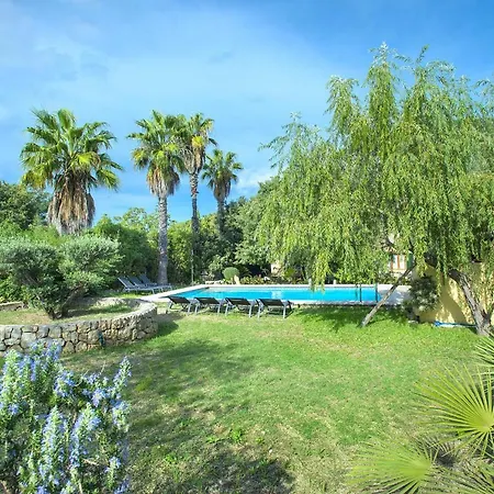 Owl Brullet - Rustic * 波连斯萨