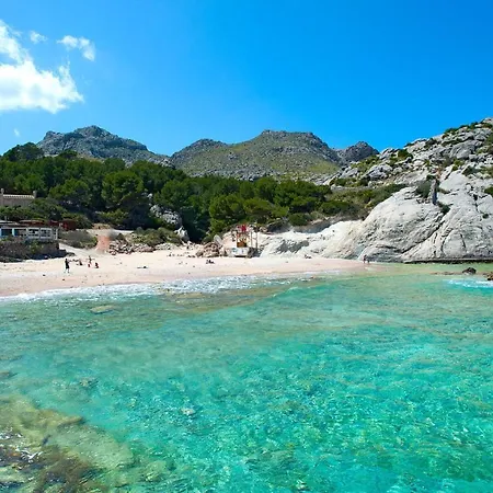 Owl Brullet - Rustic * 波连斯萨